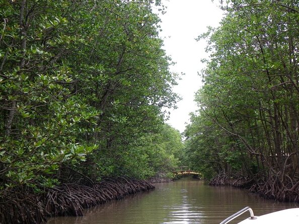 1-Day Can Gio Island-Mangrove Biosphere Reserve-Trekking - Key things I’d plan around