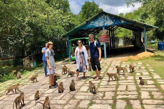 1-Day Can Gio Island-Mangrove Biosphere Reserve-Trekking - Lunch, Seafood Market Energy, and Monkey Island