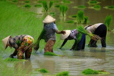 2-Day Mekong Delta and Floating Markets Private Tour - Vinh Long Canals: Small Waterways, Real Daily Life