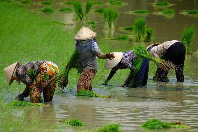 2-Day Mekong Delta and Floating Markets Private Tour - Vinh Long Canals: Small Waterways, Real Daily Life