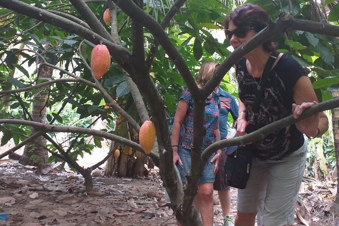 2-Day Mekong Delta with Cai Cang Floating Market from HCM City - Why Cai Be and Cai Rang Feel Like Time Travel
