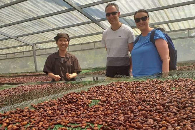 2-Day Mekong Delta with Cai Cang Floating Market from HCM City - Price and Logistics: What $245 Buys (and Why It’s Not Just a Tour Bus Deal)