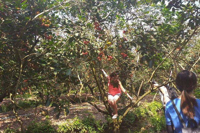 2-Day Mekong Delta with Cai Cang Floating Market from HCM City - The Stork Sanctuary: A Quiet Pause in Rice-Paddy Country