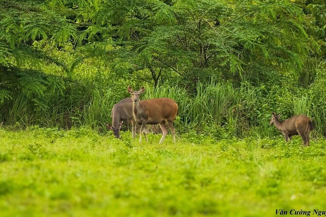 2-Day Trekking & Biking Nam Cat Tien National Park from HCM City - Food, lodging, and the hidden value of not thinking