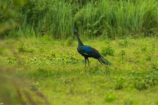 2-Day Trekking & Biking Nam Cat Tien National Park from HCM City - The bike-and-trek balance: why this combo works better than either alone