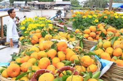 3-Day Mekong Delta Tour including: Cai Rang floating market - Cai Rang at sunrise: what you’re really watching