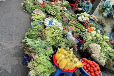 Authentic Vietnamese Cooking Class with Market Visit in HCMc - Where You Meet and How the Day Flows