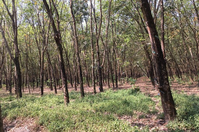 Ben Duoc - Authentic Cu Chi Tunnels Private Tour - Timing, Comfort, and the Pace of a 6-Hour Private Tour