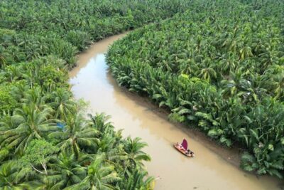 Ben Tre Mekong Zig Zag: Scooter, Sailboat, and Food (Full day) - Price and what you truly get for $59