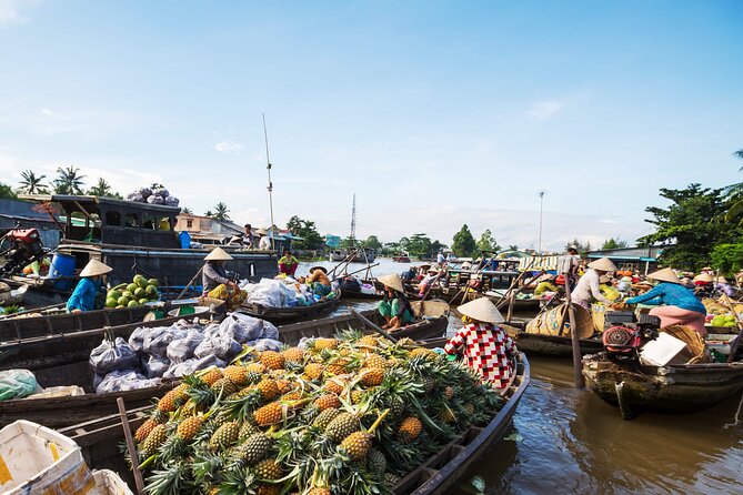 Cai Rang Floating Market & Mekong Delta 2-Day Tour from HCM City - Key Takeaways Before You Go