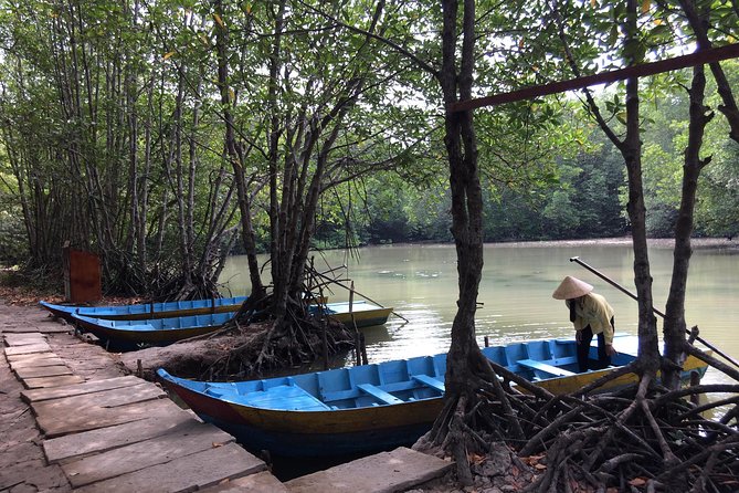 Can Gio Mangrove Eco And Wildlife Discovery Tour - Lunch at a Local Restaurant and the Recovery Theme