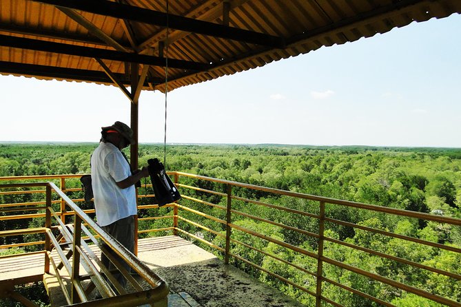 Can Gio Mangrove Eco And Wildlife Discovery Tour - Price and Logistics: Is $169 Good Value?