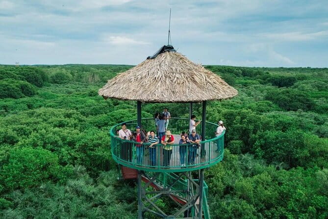 Can Gio Mangrove Forest Island Private Tour From Ho Chi Minh City - Crocodile fishing: what to expect from the challenge