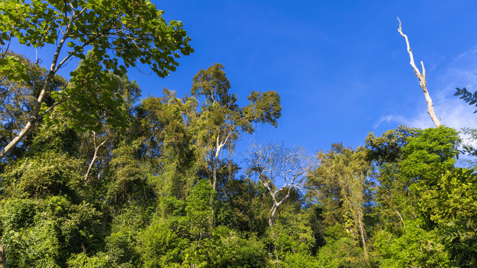 Cat Tien National Park with Crocodile Lake - Cat Tien’s Ecological Trails + Night Safari + Crocodile Lake: what makes it worth $165
