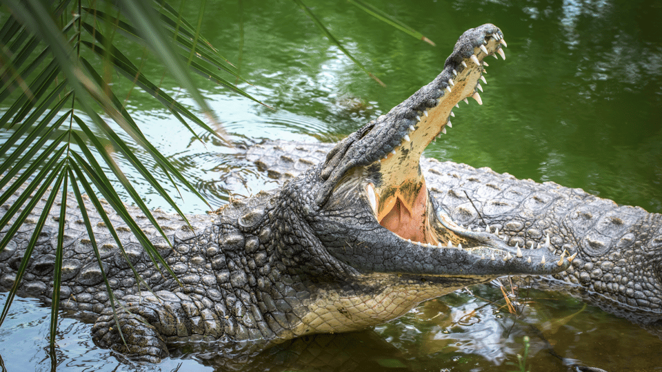Cat Tien National Park with Crocodile Lake - Price check: is $165 good value for this specific plan?