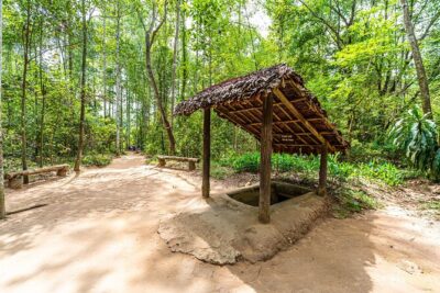Cu Chi Tunnels and Mekong Delta 1 Day Tour from Ho Chi Minh City - Walking from exhibits to the real thing: workshops and the tunnel crawl