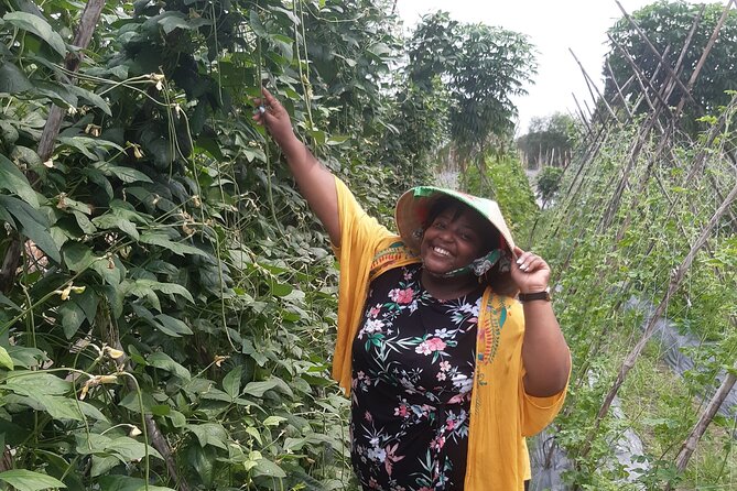 Exploring organic farm & Vietnamese Culinary with Master chef - Organic farm time: picking ingredients the hard (and fun) way