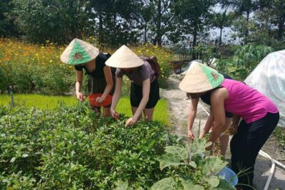 Farm-To-Table Healthy Cooking Class in Ho Chi Minh City - The organic farm walk: animals, herbs, and the scissors moment