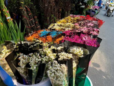 Free E-Sim Saigon Hidden Gems Tour with Local Guide - Meeting at Ben Thanh Market: The Start That Sets the Tone
