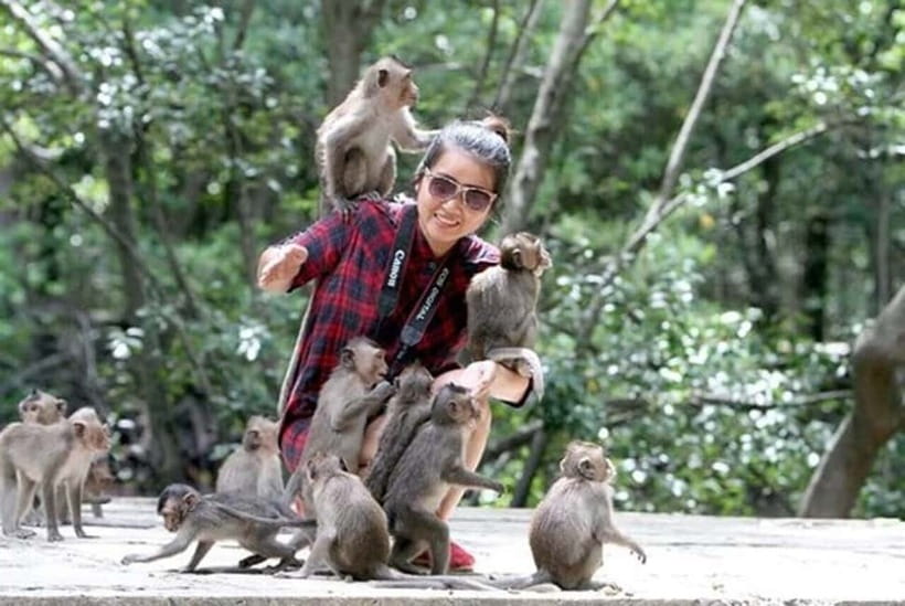 From Ho Chi Minh: Can Gio Monkey Island & Mangrove Tour - Crocodile Sanctuary Stop and Optional Crocodile Fishing