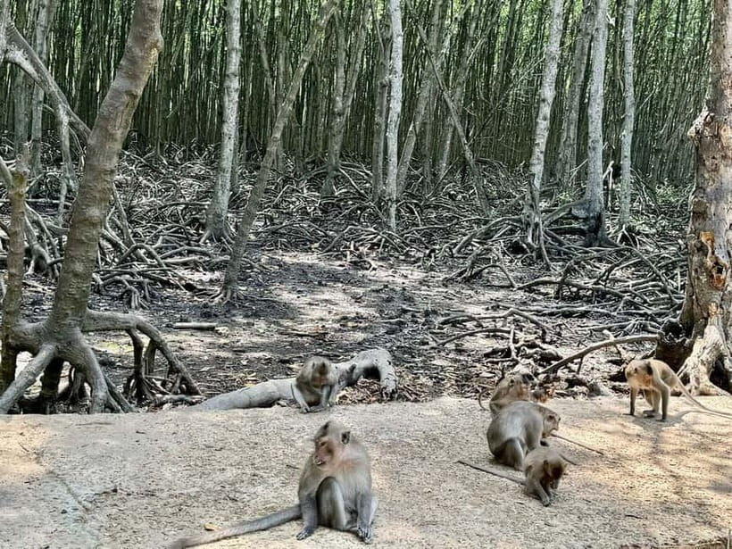 From Ho Chi Minh: Can Gio Monkey Island & Mangrove Tour - Can Gio Resort Beach Time: Actually Unwind, Don’t Just Walk