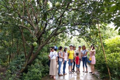 From Ho Chi Minh: Full-Day Mekong Delta Tour to My Tho & Ben Tre - My Tho to Unicorn Island: canals, local stops, and that slow delta pace