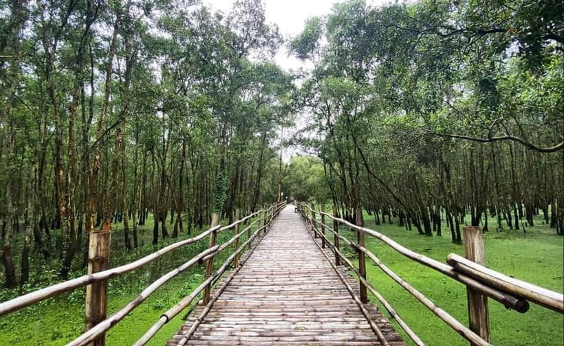 From Ho Chi Minh: Mekong Delta 3-Day Tour with Tra Su Forest - Three days in the southern Mekong: what this route really delivers