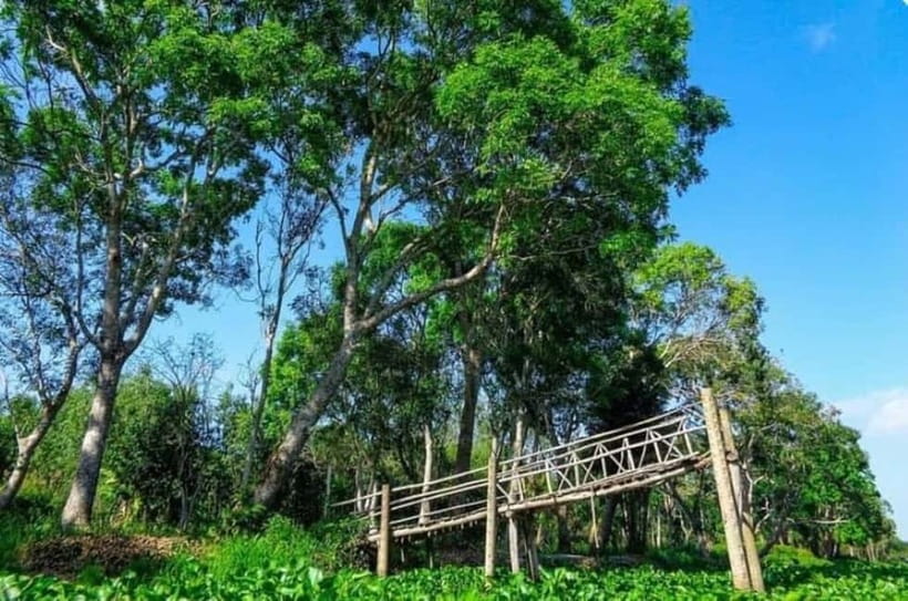 From Ho Chi Minh: Mekong Delta 3-Day Tour with Tra Su Forest - Day 3 in Cần Thơ and back to Ho Chi Minh City: floating market, Trúc Lâm Zen, Mỹ Khánh, and Purple House