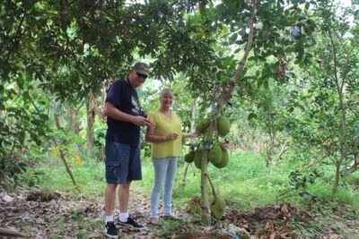 From Ho Chi Minh: Mekong Delta Private Day Tour - The Tien River Cruise and the Four Mythical Islets