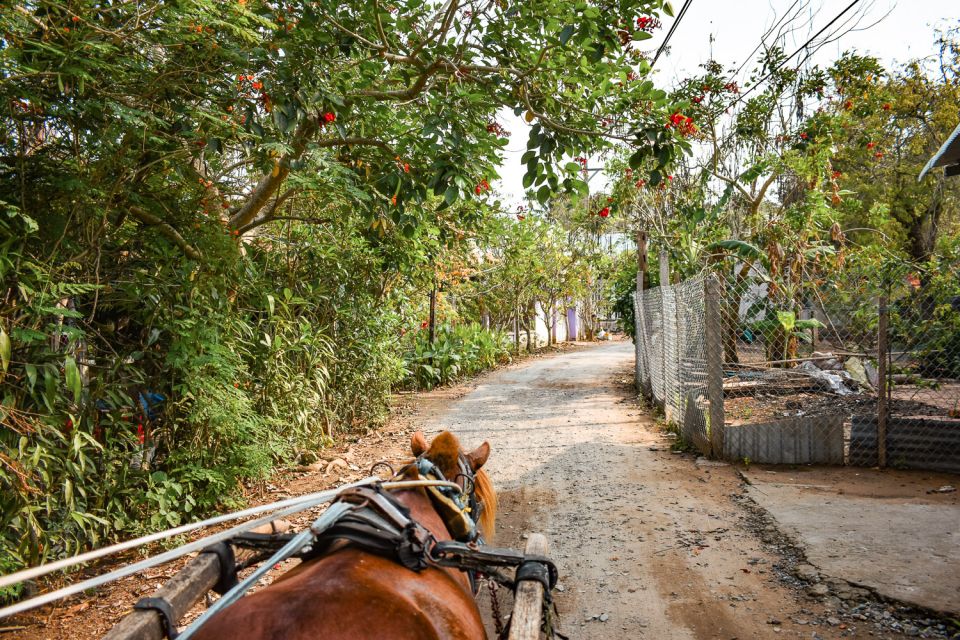 From Ho Chi Minh: Mekong Delta Private Day Tour - Horse-Drawn Carriage Ride: 19th-Century Pace in a Modern Day