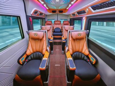 From Ho Chi Minh: Mekong Delta Tour| Vip Limousine Option - From Ho Chi Minh City to Mỹ Tho: Comfort Matters
