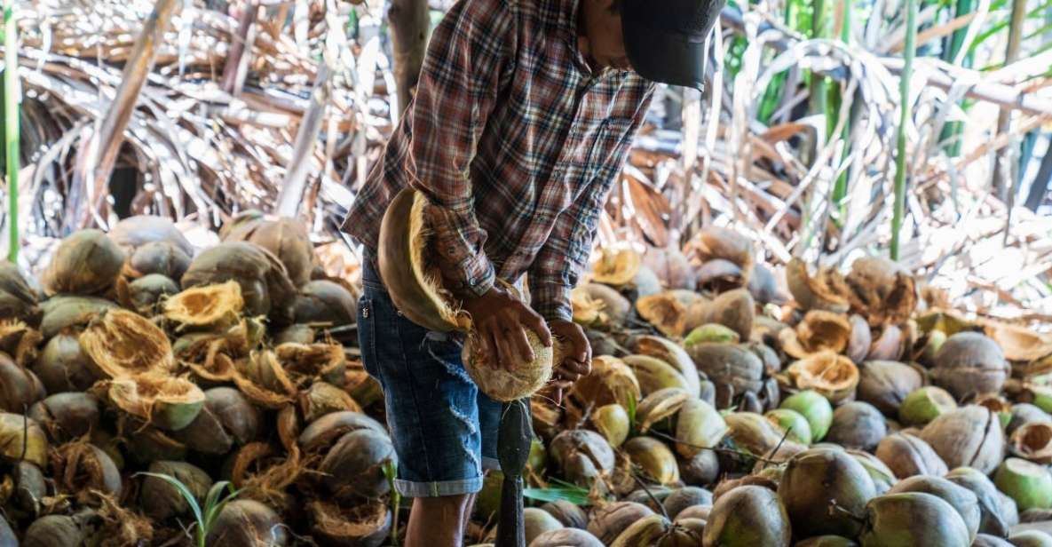 From Ho Chi Minh: Mekong Delta with Ben Tre 1 Day Tour - How the Day Unfolds From Ho Chi Minh City