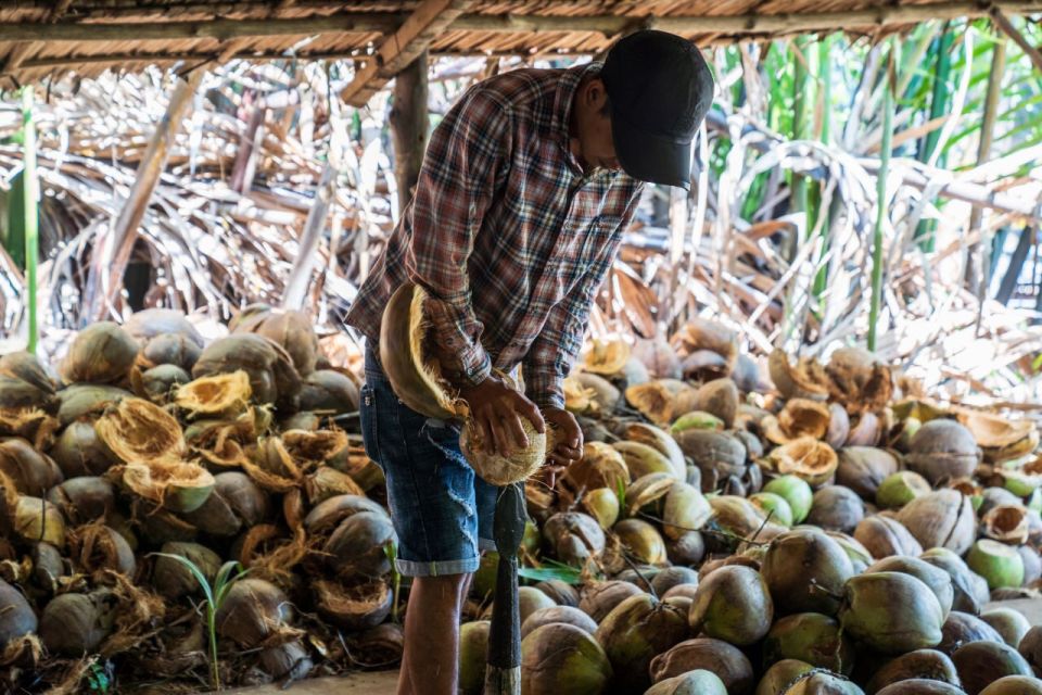 From Ho Chi Minh: Mekong Delta with Ben Tre 1 Day Tour - Coconut Workshop and Mat-Weaving House: What You’re Actually Learning