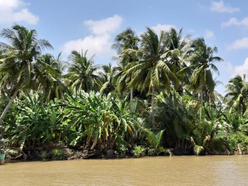 From Ho Chi Minh: Mekong Delta with Ben Tre 1 Day Tour - The Riverside Restaurant Stop and Local Seafood Specialty Time