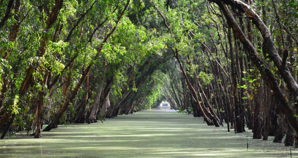From Ho Chi Minh: Three-Day Mekong Delta Tour - Why This 3-Day Mekong Route Feels More Like Life Than Tourism