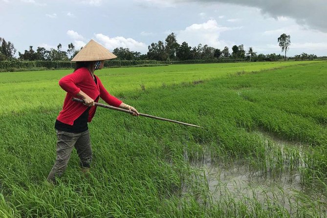 FULL Day - CAI RANG FLOATING MARKET, COOKING CLASS AND EXPLORE THE COUNTRYSIDE - Traditional Market Shopping: Learning by Buying Ingredients