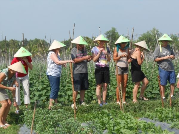 Full-Day Farming & Cooking class at Agricultural Village - Key Highlights Worth Planning Around