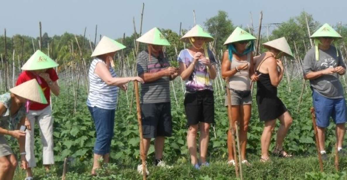 Full-Day Farming & Cooking class at Agricultural Village - Cu Chi’s Farm Fields Start the Story