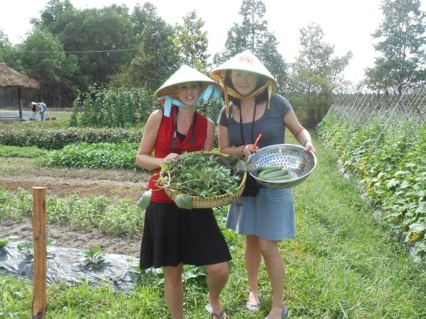 Full-Day Farming & Cooking class at Agricultural Village - Who This Experience Fits Best