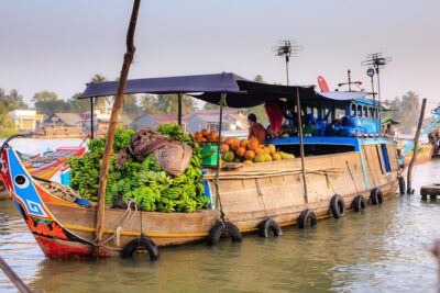Full-Day Mekong Delta Tour - Rowing into the smaller canals and biking Tan Phong Island