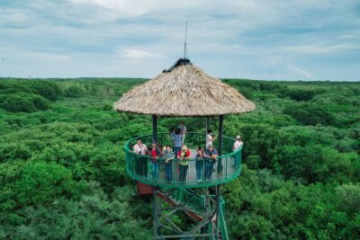 HCM:Can Gio Mangrove Forest Tour-Monkey Island - Monkey Island: the macaques are the headline, rules included