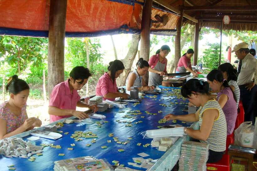 Ho Chi Minh: 3-Day Mekong Delta & Optional Exit to PhnomPenh - Tra Su Mangrove Forest by Rowing Boat in Chau Doc