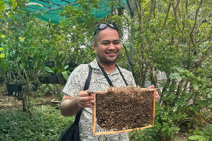 Ho Chi Minh: Adventurous Mekong Delta Full Day Tour - Ben Tre in depth: coconut candy, honey tea, and local farming