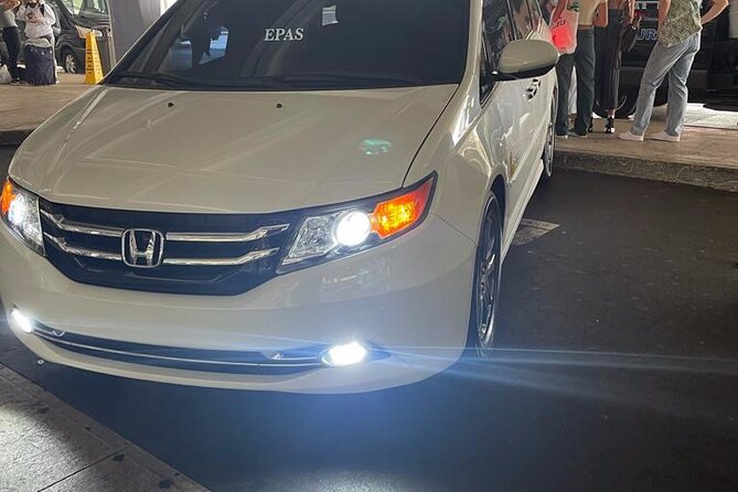 Ho Chi Minh City Airport (SGN) to Ho Chi Minh hotels - Arrival Private Transfer - Group size: up to 8 passengers and a true private ride