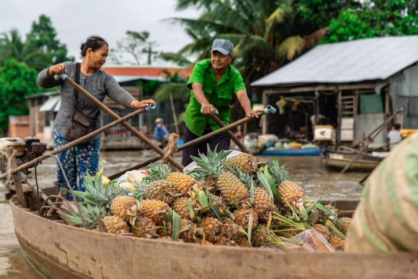 Ho Chi Minh City: Cai Rang Floating Market in Can Tho Tour - Hu Tieu Workshop in Can Tho: Turning Ingredients Into Noodles