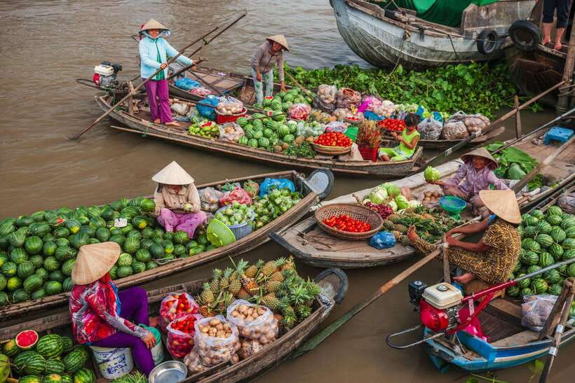 Ho Chi Minh City: Cai Rang Floating Market in Can Tho Tour - Son Islet in the Hau River: Fish Farms, Koi Foot Massage, and Fruit Picking