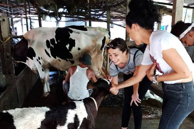 Ho Chi Minh City Full-Day Farm trip with Healthy Cooking Class - Morning pickup to farm-to-table momentum