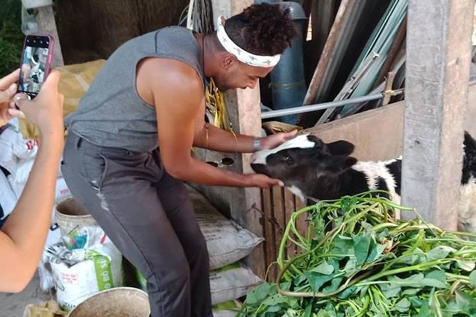 Ho Chi Minh City Full-Day Farm trip with Healthy Cooking Class - Price and value: what $73 buys you in a real full-day format
