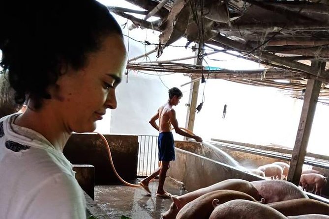 Ho Chi Minh City Full-Day Farm trip with Healthy Cooking Class - The rice paper factory stop: the background you need for better spring rolls