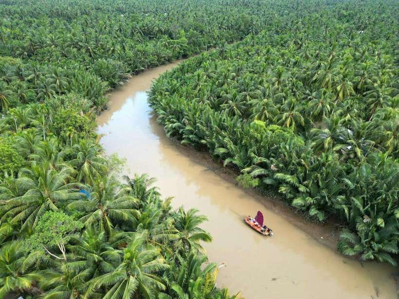 Ho Chi Minh City: Mekong Delta Day Trip with Lunch & Drinks - Ben Tre countryside by motorbike: the best way to feel the delta